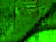 The fisherman s5 features international amateurs