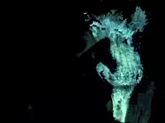 Vintage Granny's Taboo Fanny Foursome!