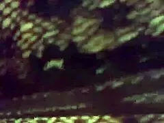 Oh, that milf is so hot, isn't she?