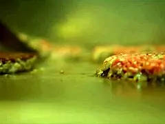 My stepmom rewards my hard work