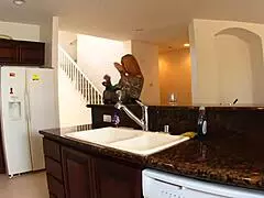 hey, check out this curvy brunette sucking a monster cock deepthroat style in stockings