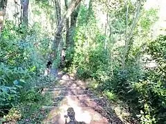 i lick sugardaddy's cum on secret beach after hike