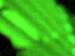 fucking kali ryder in a sex dungeon with her tattooed milf body bent over doggystyle