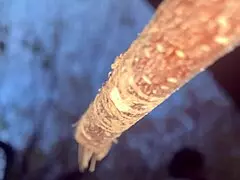 Intense outdoor sex with real witch in forest