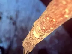 Intense outdoor sex with real witch in forest