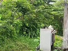 Hey, busty stepmother fucks gardener in forest quickie.