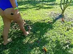 outdoor exhibitionism at summer camp in medellín, venezuelan housewife fucks in front of cuckold husband