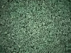 My Beautiful Latina Friend from Venezuela