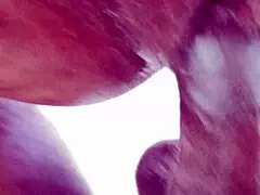 swollen area gets massaged and rubbed at the same time by big black man in roommate tale