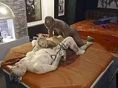 Hey, check out this threesome at the den where Jay Playhard enjoys Eva May and Livie Blainn with their big natural tits.