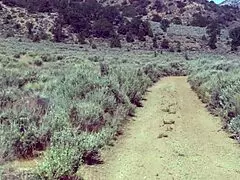 Lauren Phoenix Gets Fucked By The Pond