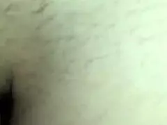 fica pelosa - jul 23 2025