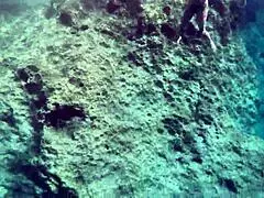 underwater sex with hot milf, so wet!