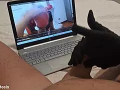 Preview Milf Handjob Jerks Big Cock Until Cum on Gloves POV