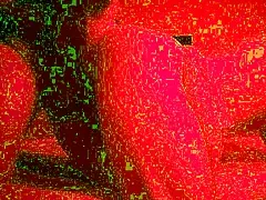 Step-sister helps step-brother in bathroom