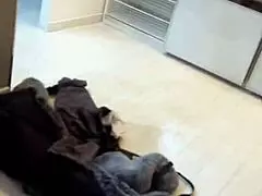 Wild orgy with dolly dyson damil and jesus?