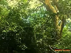 Local road Halloween hardcore