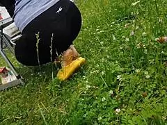 Watch this milf brunette's dirty vacation sex tapes? Camping with her mother-in-law!