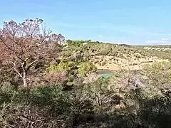 Nymphomaniac Fit German Mature Sophie Logan With Abs And Many Tattoos Pick Up For Public Fuck