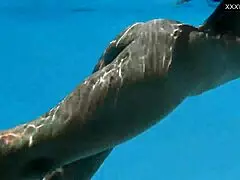 Angelica Heart's big breasts shine outdoors