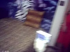 behind the scenes, does this big breast brunette babe feel the italian pound machine?