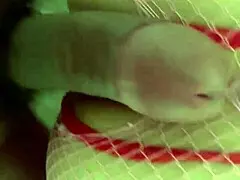 intense latina milf tiffanny in pantyhose gets anal beads homemade