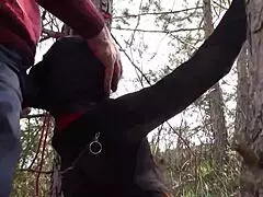 Outdoor milf compilation with blowjob, bondage, and creampie.