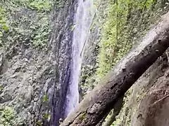 monika fox strolling jungle waterfalls