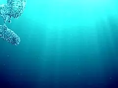 In the pool, a Hungarian woman plays naked sazan cheharda, swimming and teasing underwater with playful moves.