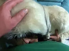 Milfycalla Compilation - Fetish Blow-Jobs And Rough Sex In Sexy Fur Coats!