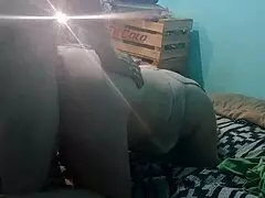 Doggy Style Fun on Webcam