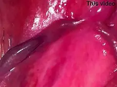 What Does An Amateur Pink Pussy Look Like 275 Days After Losing Virginity?