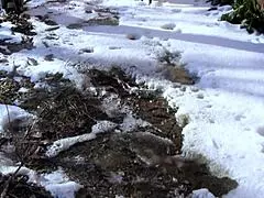 milf explores outdoor public spots for personal relief