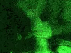 Filipina Milf Sucks Morning Wood