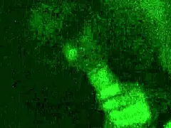 Filipina Milf Sucks Morning Wood