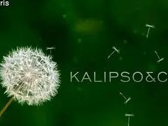 Little Red Riding Hood Trailer