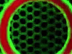 Jessica Jaymes Wild Cougar Lesbian Licking