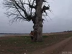 Milfycalla Compiles Anal Doggystyle Blowjob And Intense Fucking V36