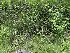 Colombiana De Gran Culo Termina Culiando Con Desconocido En El Monte Porno En Español