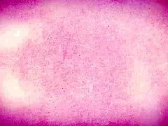 Bree Brooks Feels Passion as Sex Teacher