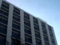 Daphne Rosen's Oral Makes Busty Sara Jay Moan Loudly