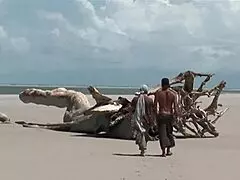 yo imagine a steamy threesome on the beach with this sexy black mom getting pounded doggystyle and fingered 😈🏖️🍑💦🌊!!