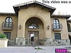 Trans Natalie Mars offre intense expérience copine à Will Havoc