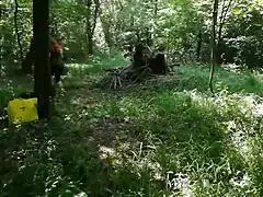 i punish this pee freak with bdsm domination