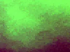 Horny puta milf sucks cock wildly eats juicy pussy almost gets creampied doggystyle