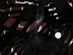 my secret life's wildest vintage erotic hairy pussy beaver shows