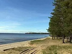 blonde mature wife slips into fishnet bodystocking at party teasing her big ass pussy and nylon legs before stripping naked