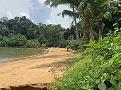 Skinny wife gives beach handjob ends in close-up outdoor cumshot