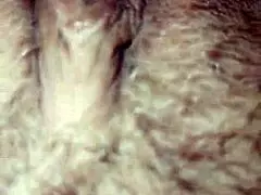 Sexy italian amateur teases with her sleek curves in homemade heat