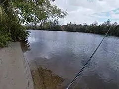 wanna watch bustydiamond fish then get fucked outdoors in public?